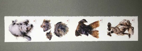 Yves Coladon artiste peintre et graveur. Chiens. Sam, Milou et les autres. Encre et aquarelle.