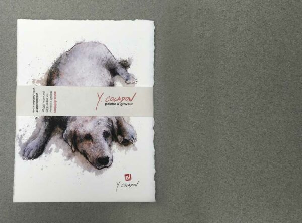Yves Coladon artiste peintre et graveur. Chiens. Sam, Milou et les autres. Encre et aquarelle.