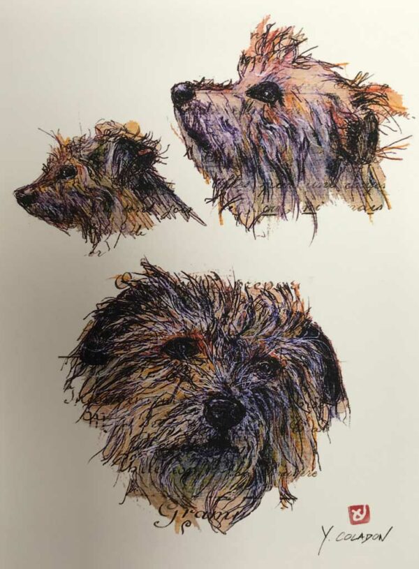 Yves Coladon artiste peintre et graveur. Chiens. Sam, Milou et les autres. Encre et aquarelle.