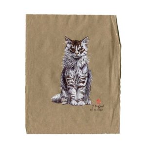 Série des chats du Pérou, le chat N°1, Yves Coladon artiste peintre graveur