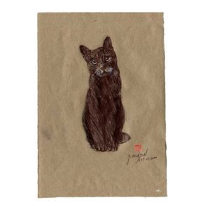 Série des chats du Pérou, le chat N°2, Yves Coladon artiste peintre graveur