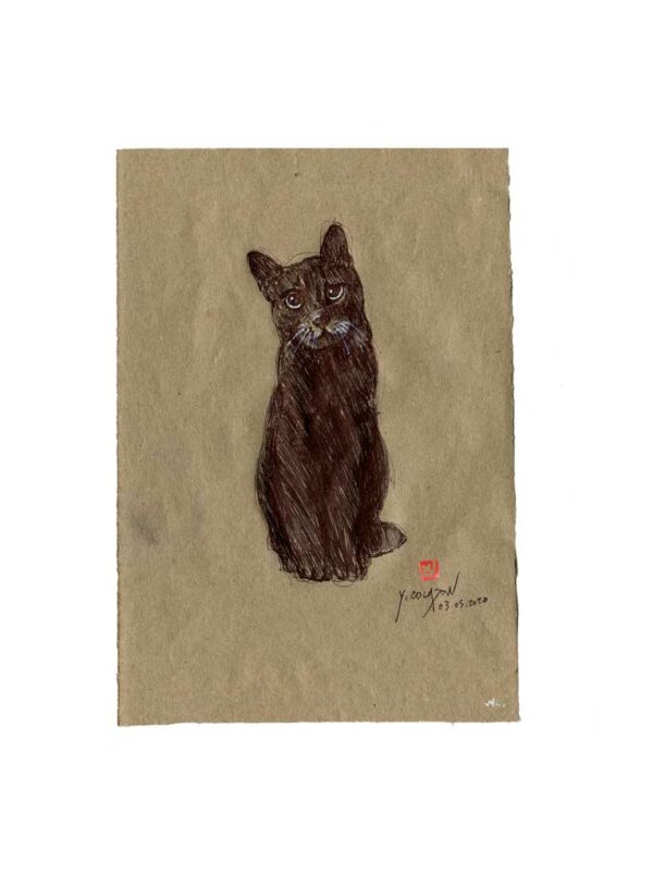 Série des chats du Pérou, le chat N°2, Yves Coladon artiste peintre graveur