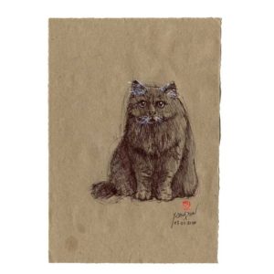Série des chats du Pérou, le chat N°4, Yves Coladon artiste peintre graveur