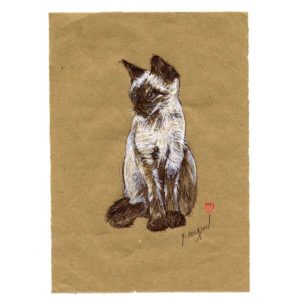 Série des chats du Pérou, le chat N°5, Yves Coladon artiste peintre graveur