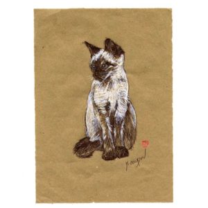 Série des chats du Pérou, le chat N°5, Yves Coladon artiste peintre graveur