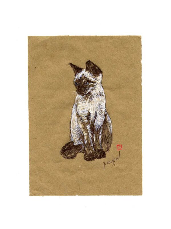 Série des chats du Pérou, le chat N°5, Yves Coladon artiste peintre graveur