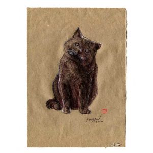 Série des chats du Pérou, le chat N°6, Yves Coladon artiste peintre graveur