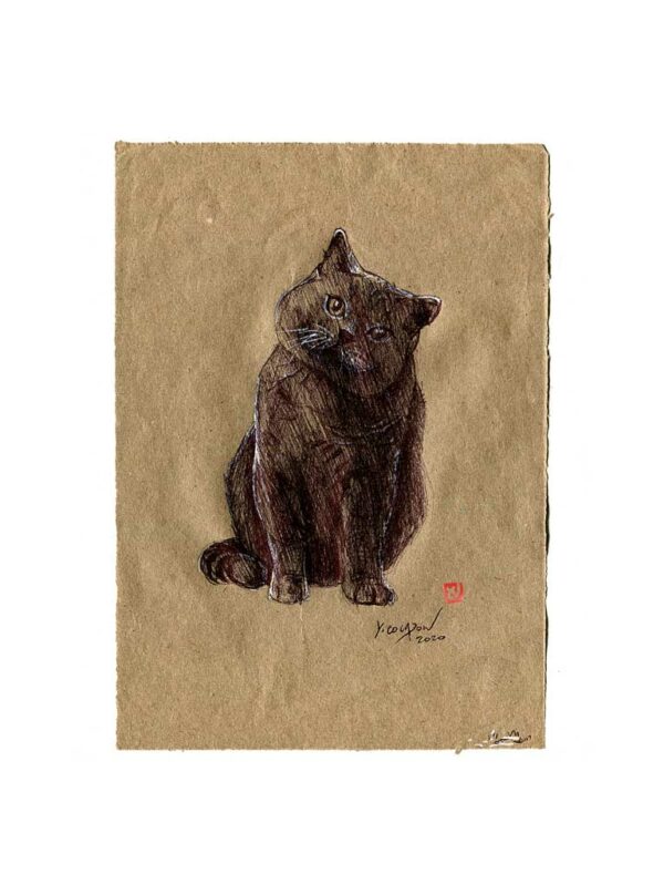 Série des chats du Pérou, le chat N°6, Yves Coladon artiste peintre graveur