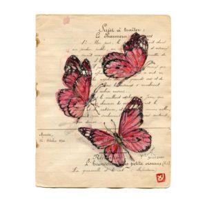 Papillons, Yves Coladon artiste peintre graveur