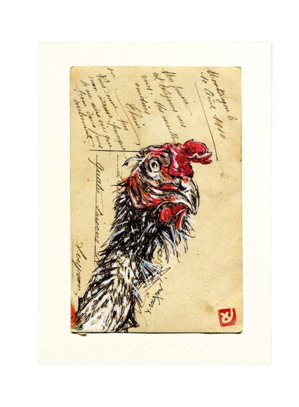 Yves-Coladon-Carte-Postale-Poule2