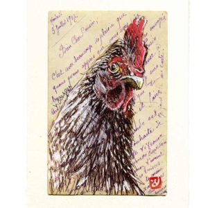 Yves-Coladon-Carte-Postale-Poule3
