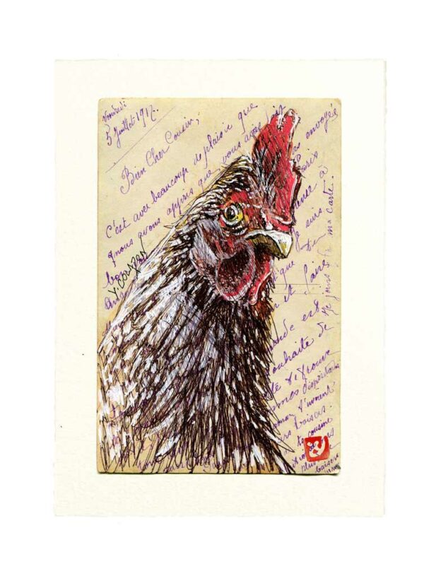 Yves-Coladon-Carte-Postale-Poule3