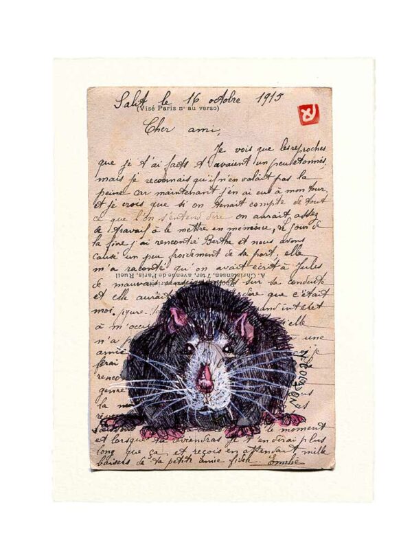 Yves-Coladon-Carte-Postale-Rat