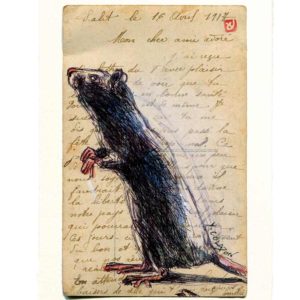 Yves-Coladon-Carte-Postale-Rat2