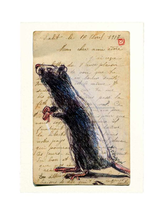 Yves-Coladon-Carte-Postale-Rat2
