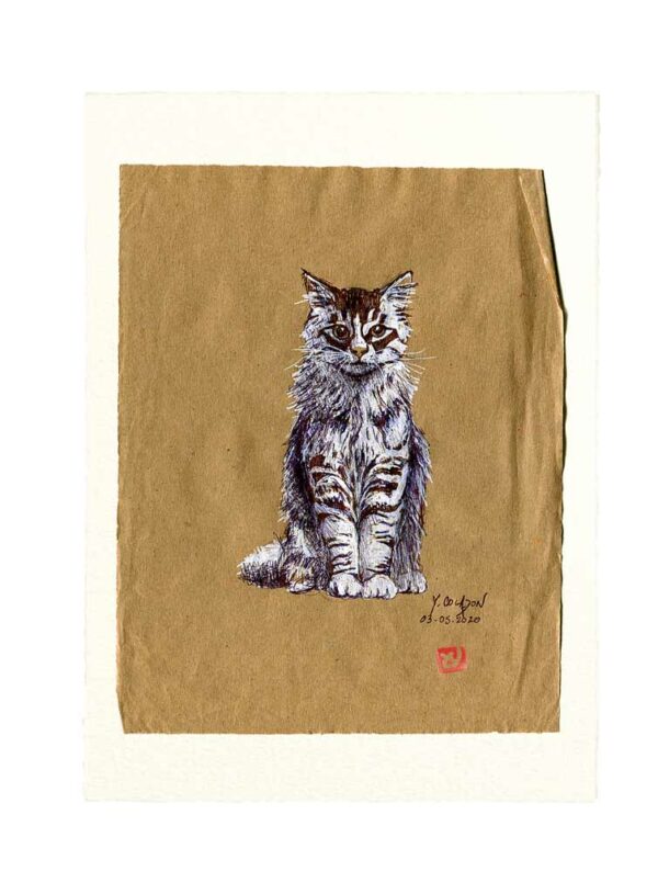 Yves-Coladon-Carte-Postale-chat1