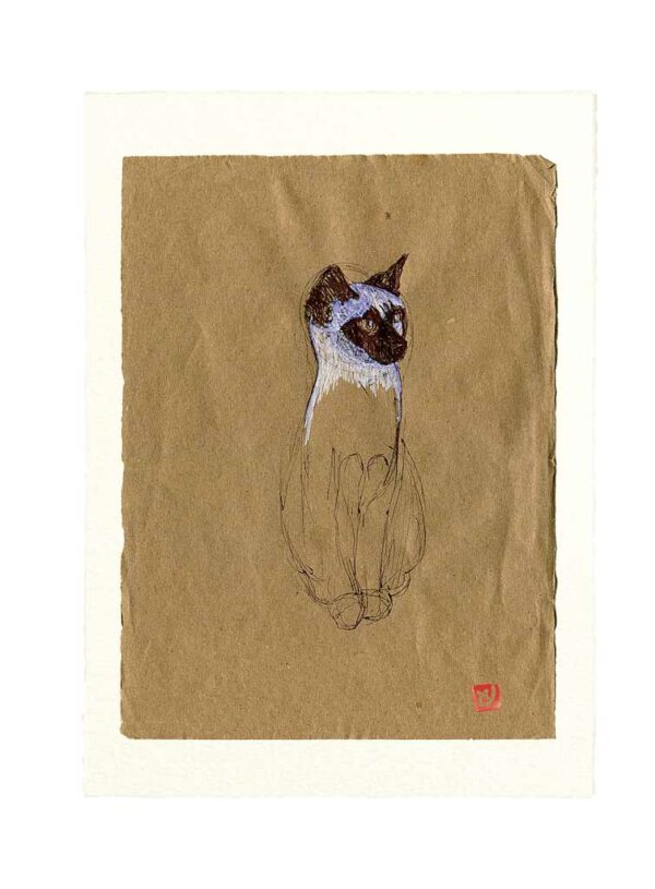 Yves-Coladon-Carte-Postale-chat3.