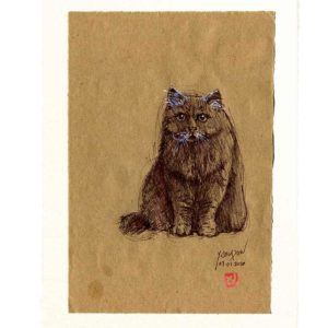 Yves-Coladon-Carte-Postale-chat4