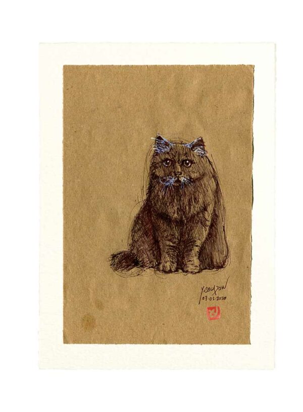 Yves-Coladon-Carte-Postale-chat4