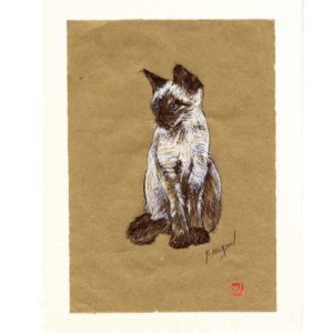 Yves-Coladon-Carte-Postale-chat5