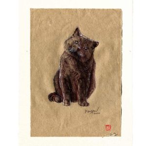 Yves-Coladon-Carte-Postale-chat6