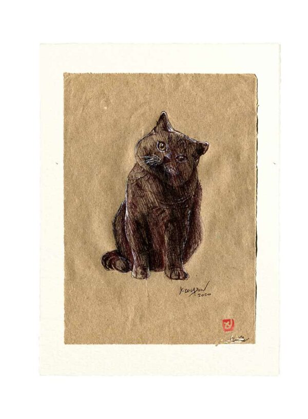 Yves-Coladon-Carte-Postale-chat6