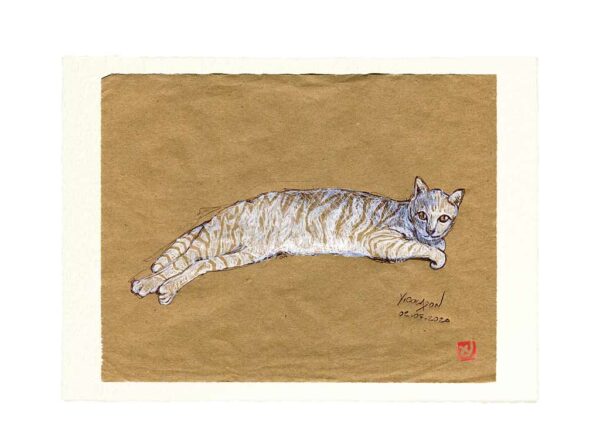 Yves-Coladon-Carte-Postale-chat7