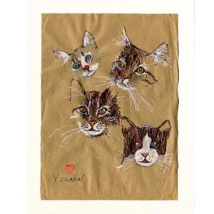 Yves-Coladon-Carte-Postale-chat8