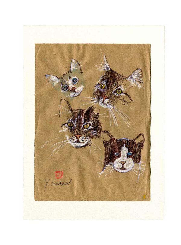 Yves-Coladon-Carte-Postale-chat8