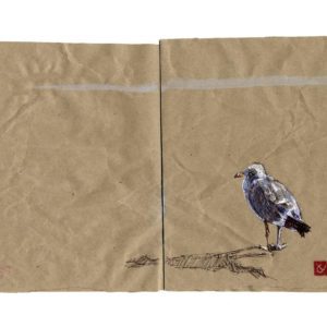 Mouette-grau-du-roi-Yves-Coladon-Artiste-Dieulefit-Drome