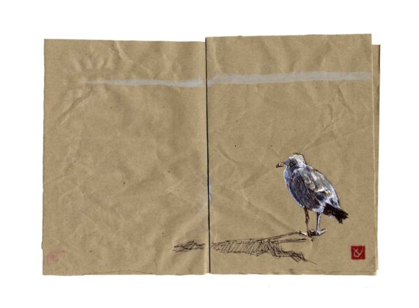 Mouette-grau-du-roi-Yves-Coladon-Artiste-Dieulefit-Drome